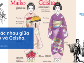 Sự khác biệt giữa Geisha và Maiko